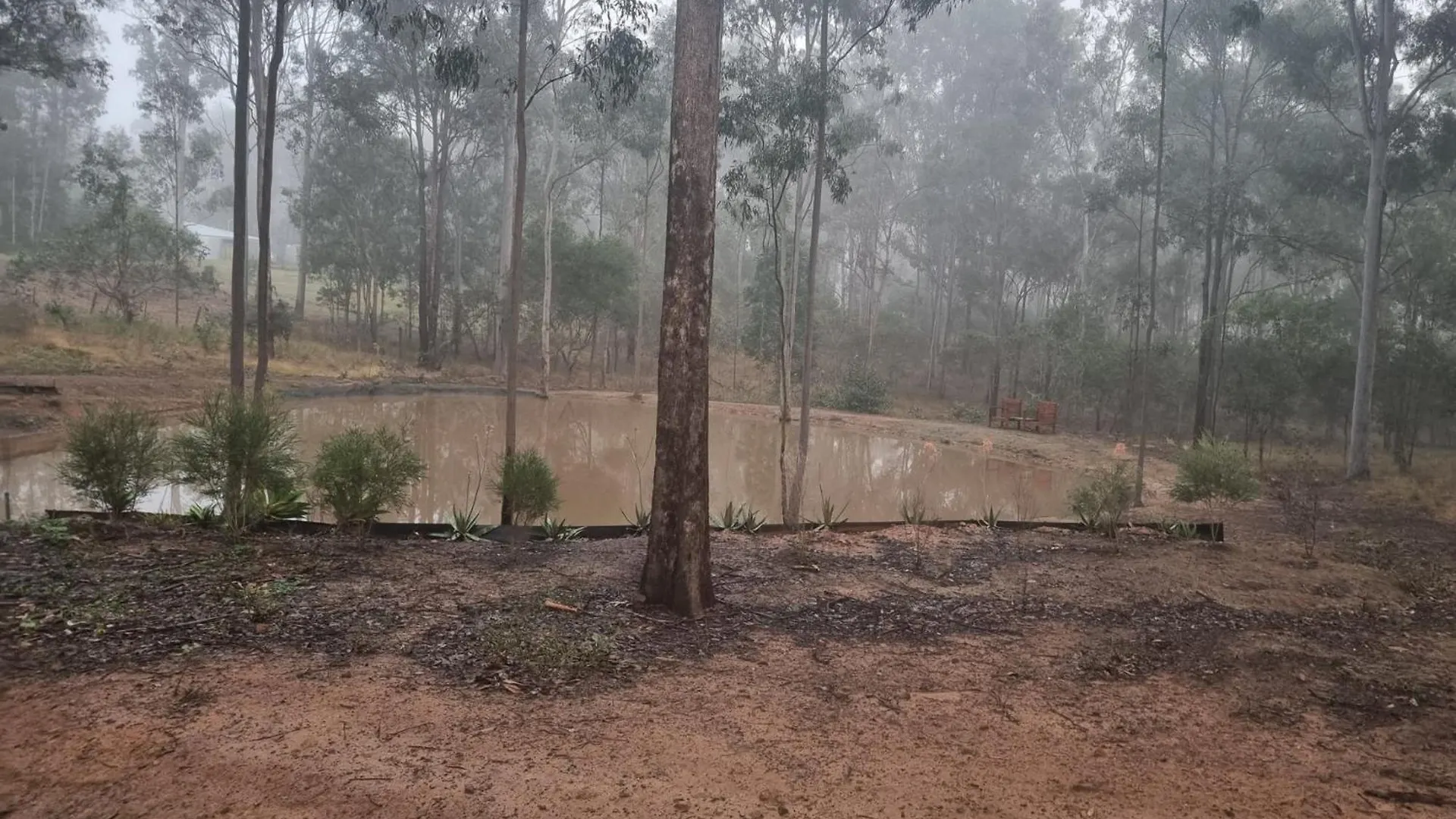 Currawong Cabin Australia
